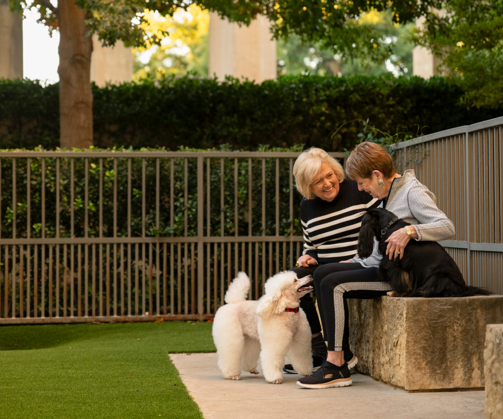 Two senior woman play with two dogs at the dog park at The Stayton