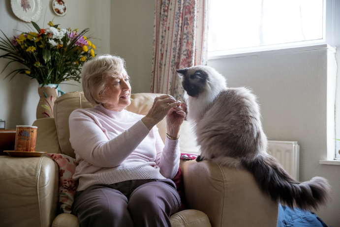 a senior woman feeding her pet cat a treat