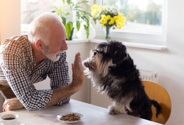 a senior man giving his dog a high five